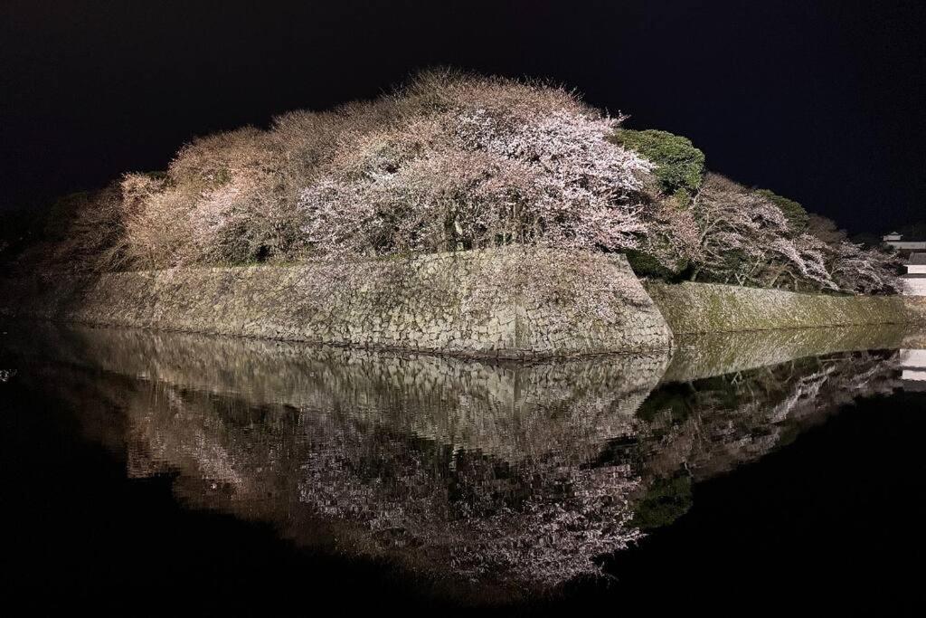 彦宿hikojyuku戸建て貸切宿 ฮิโกเนะ ภายนอก รูปภาพ